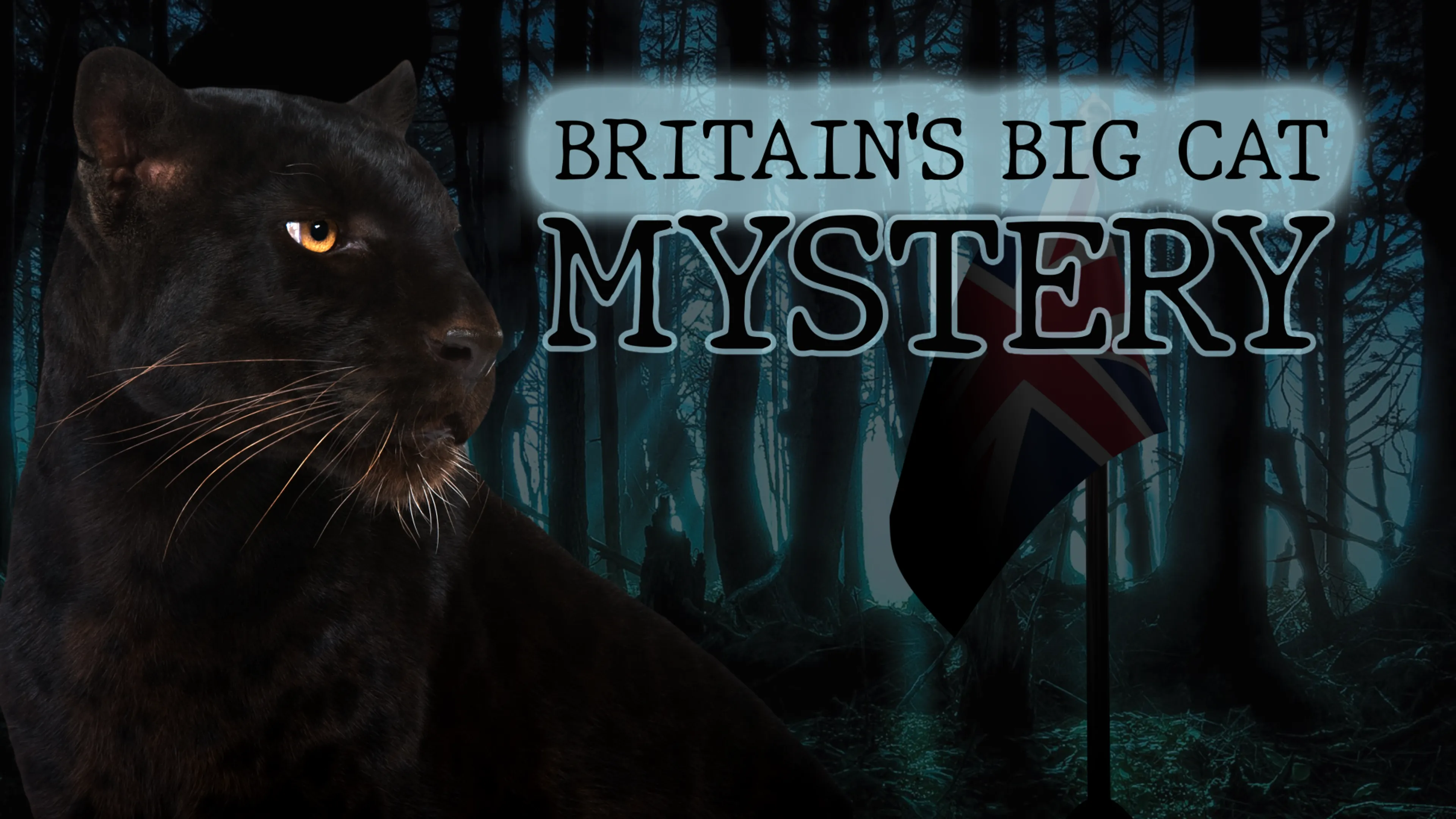 Britains Big Cat Mystery poster
